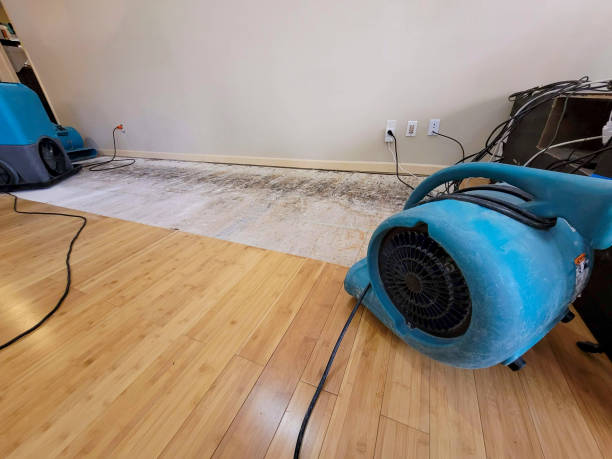 Professional Water Damage Repair technician working in Oak Grove, KY